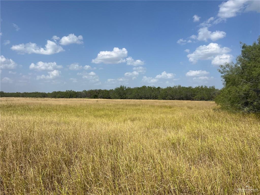 Photo 5 of 0 Mirasoles Road