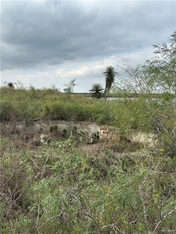 Photo 1 of Tract 1 Fernando East Road, Rio Hondo