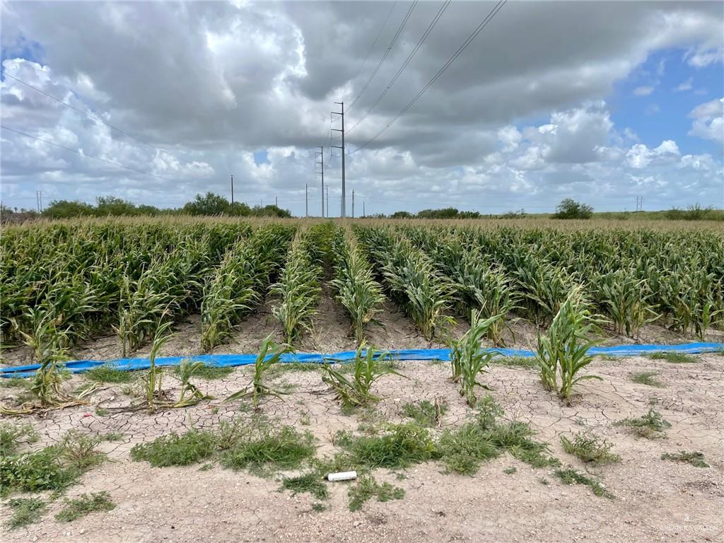 Photo 1 of TBD Gonzalez Road, Progreso