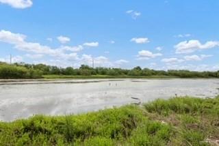 Photo 10 of 31991 FM 1847