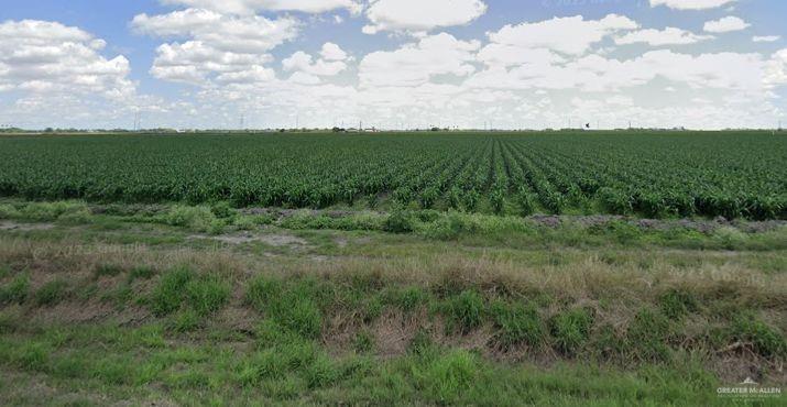 Photo 3 of 18499-18353 FM 2556