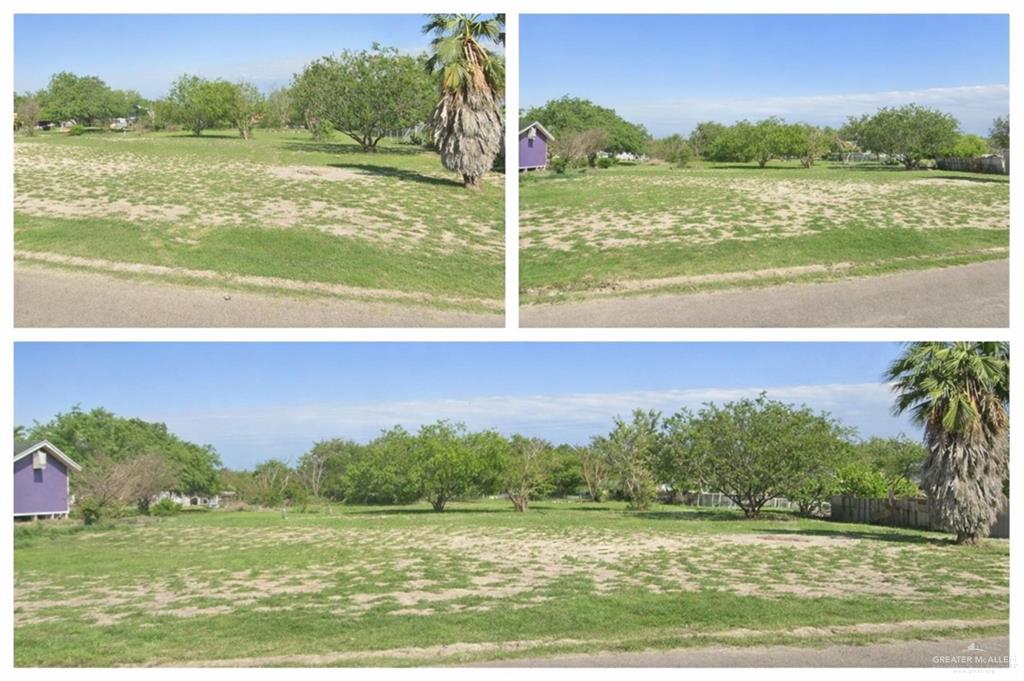Photo 1 of TBD Washington Palm Drive, Penitas