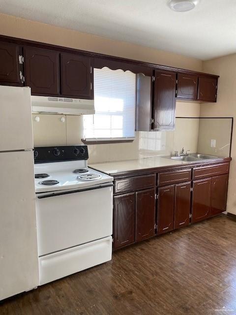 Photo 8 of 502 Miguel Hidalgo Street #4