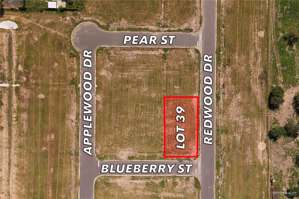 Photo 1 of 0039 Blueberry Street, Weslaco